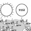 [단독]가축 ‘폭염 폐사’도 보상 절실