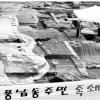 “찔끔찔끔 문화재 발굴은 이제 그만”