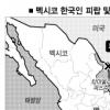 “美 밀입국 시도… 알선조직에 당한 듯”