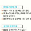 휴가철 손상된 피부건강 되찾기
