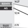 [월스트리트發 국제금융 패닉] 월街 최대 62조달러 ‘CDS’ 위기설 번진다