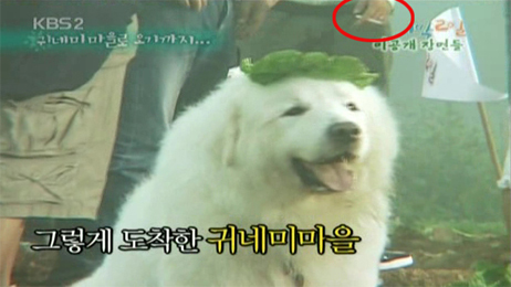 ‘1박 2일’ 21일 방송 화면 캡처 출처-포털 다음 텔레비존 게시판
