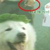 ‘1박 2일’팀 배추밭 흡연 장면 방송 또 논란