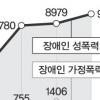 가정폭력피해 장애여성 갈 곳 없다