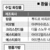 [휘청대는 세계금융] 수입명품 가격 면세점＞백화점