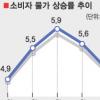 소비자물가 4.8% 상승… 3개월 연속 둔화