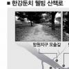주말 한강둔치서 氣 충전을…