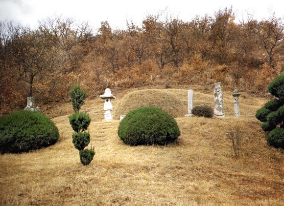 경기 성남시 분당구 석운동에 있는 이경석 묘소.