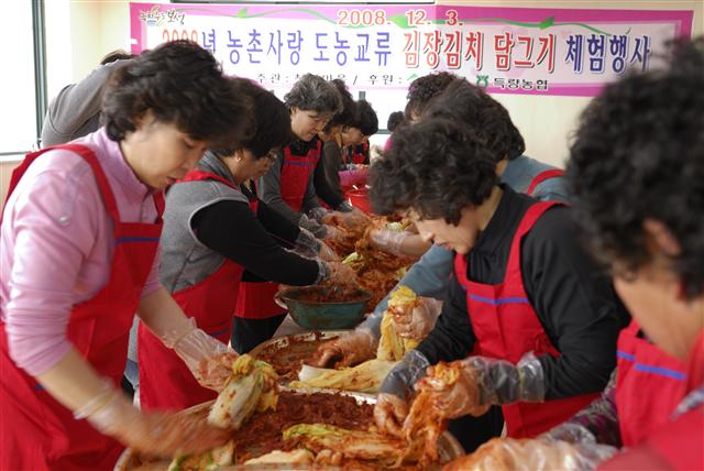 부산 사상구 부녀회원과  보성군 득량면 청암마을 부녀회원 100여명이 5일 청암마을 회관에 모여 김치를 담그며 친목을 다지고 있다.