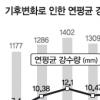 폭우 빈도 35년새 2배 늘었다