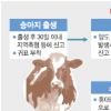 내주부터 ‘쇠고기 이력제’ 사육단계만 우선 적용