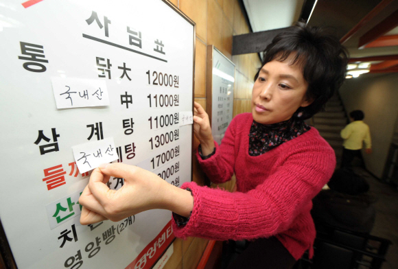 돼지고기와 닭고기,배추김치까지 원산지표시제도가 확대 시행된 첫 날인 22일 서울 명동의 한 닭요리 전문점에서 직원이 메뉴판에 원산지 표시를 붙이고 있다. 정연호기자 tpgod@seoul.co.kr