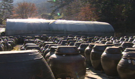 ‘슬로푸드’의 숨겨진 효과를 조명한 KBS 1TV ‘생로병사의 비밀’ 신년특집 ‘느림의 건강학’의 한 장면.