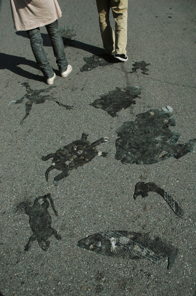 김현아 ‘아스팔트 위의 껌’