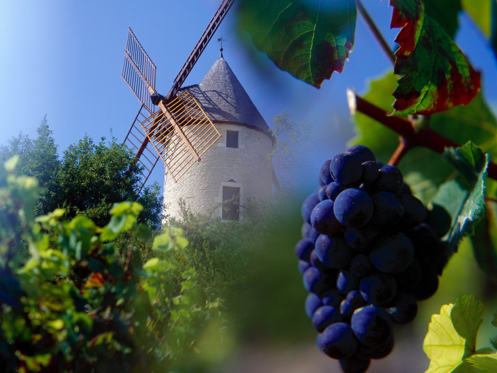 부르고뉴 와인협회 제공