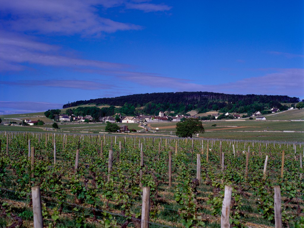 부르고뉴 와인협회 제공