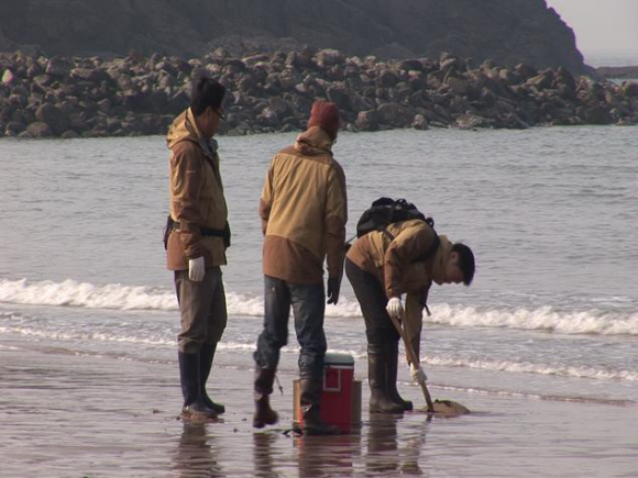 기름유출 방제작업 후 생태계 회복 문제를 집중 조명한 KBS1 TV 환경스페셜 ‘바다가 보내는 경고’. 