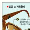 ‘전자 눈’ 나왔다
