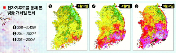 ‘전자기후도’를 이용해 미래의 벚꽃 개화일 변화를 시뮬레이션한 그림. 지도는 붉은 색이 차지하는 범위가 많아질수록 벚꽃의 개화 시기가 빨라지는 현상을 보여주고 있다.  