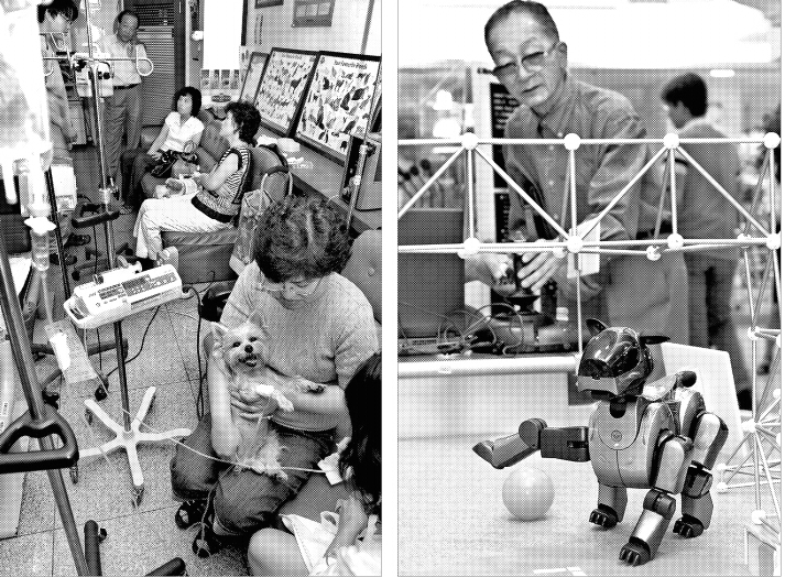 노인들에게 애완동물은 가족의 역할을 대신하는 반려자인가 하면 일상의 고락을 나누는 가족이 되기도 한다. 따라서 소통의 문제만 없다면 애완의 대상은 개나 고양이·앵무새일 수도 있고 로봇일 수도 있다.  서울신문 포토라이브러리 