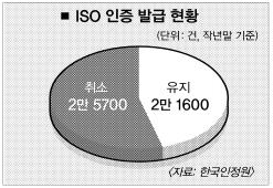 ISO 인증 발급도 관리도 엉터리