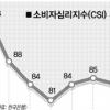 소비심리 석달만에 다시 후퇴