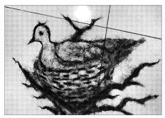 안씨가 머리카락으로 그린 둥지의 새.