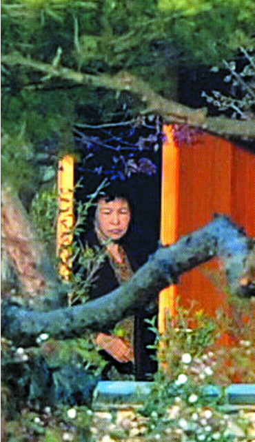 노무현 전 대통령에 대한 검찰 조사가 한층 강화되는 가운데 10일 경남 김해시 봉하마을의 사저에서 노 전 대통령 부인 권양숙 여사가 근심스러운 모습으로 밖을 응시하고 있다.  김해 안주영기자 jya@seoul.co.kr 