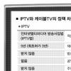 IPTV 왜 외면당하나