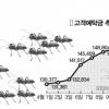 개미들 “쪽박 차느니 내가 책임진다”