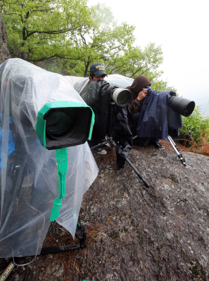 빗속 취재경쟁 거세게 몰아치는 비바람도 노무현 전 대통령에 대한 취재열기를 꺾지는 못했다. 20일 경남 김해시 진영읍 봉하마을에서 사진기자들이 카메라에 가림막을 설치하고 노 전 대통령 사저를 살피고 있다. 김해 정연호기자 tpgod@seoul.co.kr 