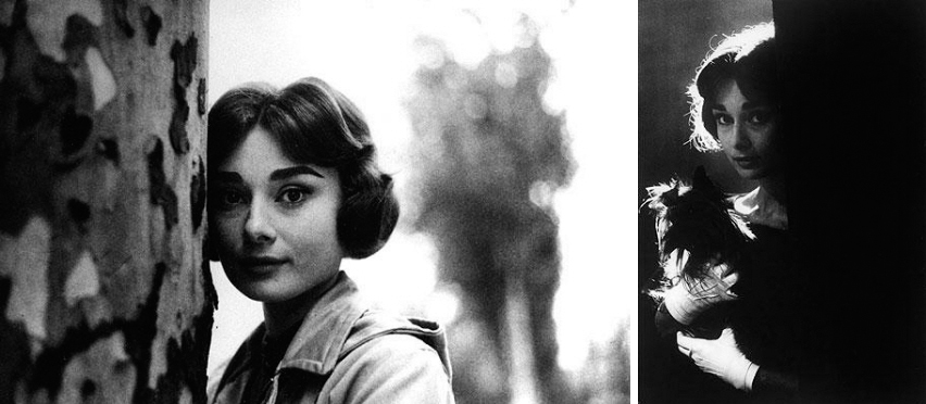 1957년 오드리 헵번이 영화 ‘하오의 연정’ 촬영 도중 파리의 공원 ‘불로뉴의 숲’에서 휴식을 취하고 있는 모습(왼쪽)과 애완견을 안고 있는 모습. 텔레그래프 홈페이지 