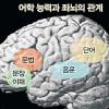 “영어 잘하는 사람 좌뇌>우뇌”