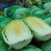 배추 한포기 = 5000원