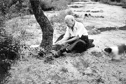 같은 해 여름 이 대통령이 경무대에서 톱으로 소나무를 베고 있다.