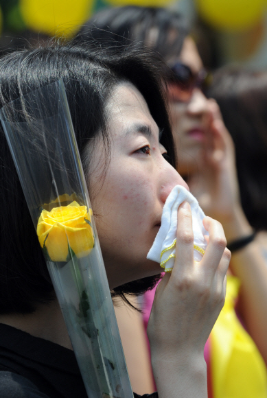 눈물의 노란 장미  29일 오전 서울 광화문 서울광장에서 열린 노제에 노무현 전 대통령의 운구 행렬이 모습을 드러내자 검은 옷을 입은 한 여성이 노란 장미를 손에 들고 눈물을 훔치고 있다.  도준석기자 pado@seoul.co.kr
