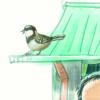 [엄마와 읽는 동화] 새들이 나는 하늘/김용택