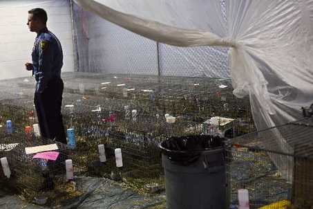 미리암이 토끼를 보관했던 시설. 경찰이 동물학대의 현장으로 고발했다. 출처:오레고니언