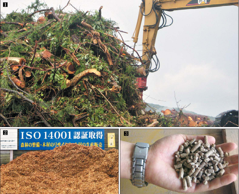 ① 일본 이시노마키 시의 한 공장에서 톱밥을 만들기 위해 가지목을 중장비로 모으고 있다. ② 폐자원 재활용업체에서 우드펠릿이나 퇴비로 사용하기 위해 원목 부산물을 파쇄한 톱밥이 수북이 쌓여 있다. ③ 원목 부산물을 파쇄해 건조, 압축과정을 거쳐 생산된 우드펠릿을 손바닥에 올려놓고 설명하고 있다.  