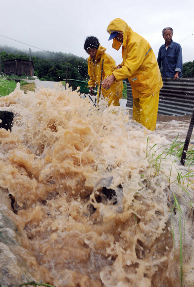 12일 장마전선의 북상으로 호우특보가 내린 가운데 강원 횡성읍 주민들이 비옷을 입고 폭우로 망가진 수로를 고치고 있다.  횡성 정연호기자 tpgod@seoul.co.kr