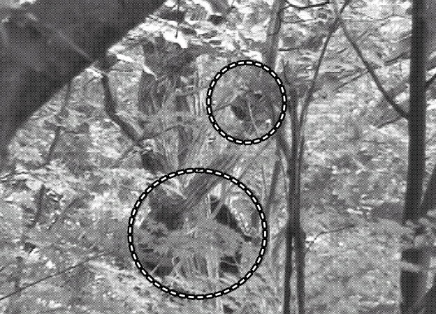 지난 1월 이후 생사가 확인되지 않았던 생후 6개월된 새끼 반달가슴곰(위 점선)이 15일 어미곰(아래 점선) 주변 나무 위에서 노는 모습이 캠코더에 잡혔다.  국립공원관리공단 멸종위기종복원센터 제공