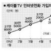 케이블TV, 전화시장 새 강자로