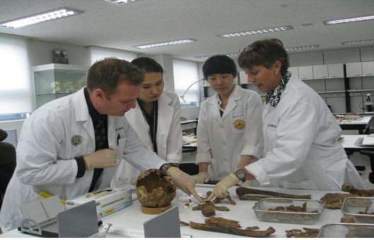 한·미 공동감식팀이 국방부 유해발굴감식단 중앙감식소에서 미군 실종자로 추정되는 유해를 분석하고 있다.  국방부 제공