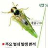온난화의 저주?… 벌레가 몰려온다
