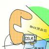 신형 디카 “DSLR 독주 막는다”