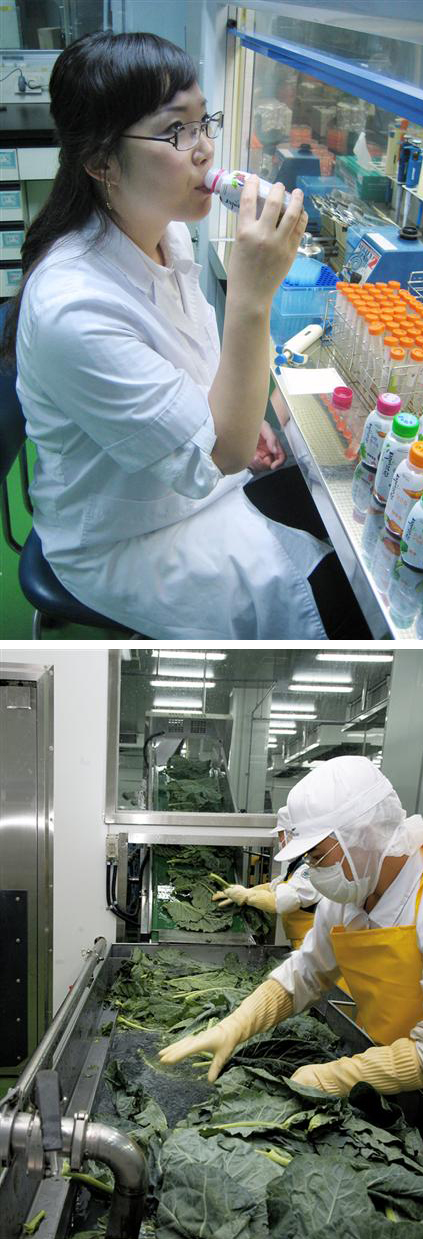 풀무원건강생활의 ‘녹즙소믈리에’ 윤미경씨가 충북 증평 도안녹즙공장에 있는 연구실에서 갓 생산된 녹즙을 마시며 맛과 향을 점검하고 있다(위). 녹즙공장에서 주재료 가운데 하나인 케일을 와류 세척 방식으로 씻기에 앞서 직원들이 눈으로 위생상태를 꼼꼼히 검사하고 있다. 풀무원건강생활 제공 