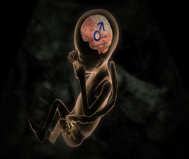 300회 특집으로 남녀 뇌에 얽힌 비밀을 풀어보는 KBS 1TV ‘생로병사의 비밀’. 