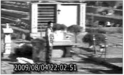 지난 4일 밤 최진실씨의 묘 주변을 서성이다 CCTV에 찍힌 범인. 경기지방경찰청 제공