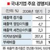 [뉴스&분석] 기업들 덩치 줄었지만 맷집 세졌다