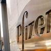 화이자 내부고발자 638억원 ‘돈방석’에